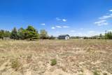 7050 Vista De Oro - Photo 75