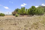 7050 Vista De Oro - Photo 76