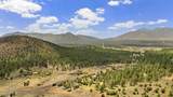7050 Vista De Oro - Photo 81