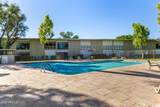 6125 Indian School Road - Photo 13