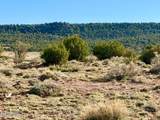 85 Co Rd 8500 Acres - Photo 1