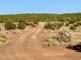 85 Co Rd 8500 Acres - Photo 11