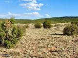 85 Co Rd 8500 Acres - Photo 14