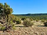 85 Co Rd 8500 Acres - Photo 16
