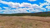 85 Co Rd 8500 Acres - Photo 19