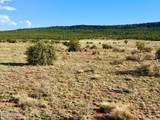 85 Co Rd 8500 Acres - Photo 26