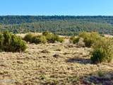 85 Co Rd 8500 Acres - Photo 3