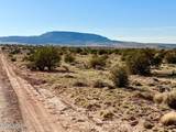 85 Co Rd 8500 Acres - Photo 4