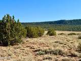 85 Co Rd 8500 Acres - Photo 8