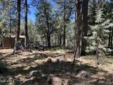 374 Majestic Elk Lane - Photo 34