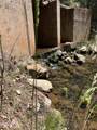 374 Majestic Elk Lane - Photo 9