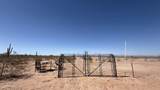 25410 Lone Mountain Road - Photo 13