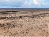25410 Lone Mountain Road - Photo 2