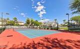 7614 Cactus Wren Road - Photo 19