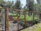 7816 Forest Service Road - Photo 34