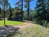 7816 Forest Service Road - Photo 43