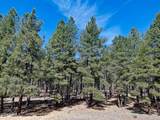 9615 Ranch At The Peaks Way - Photo 8