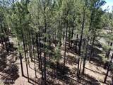 8380 Vista Peak Way - Photo 7