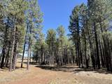 8252 Vista Peak Way - Photo 7