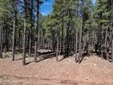 9576 Ranch At The Peaks Way - Photo 5