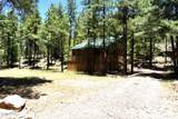 2509 Deer Ridge Drive - Photo 2