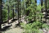 2509 Deer Ridge Drive - Photo 37
