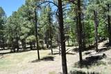 2509 Deer Ridge Drive - Photo 39