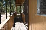 2509 Deer Ridge Drive - Photo 6