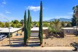 5162 Paseo Las Palmas - Photo 37