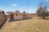 737 Elm - Photo 37