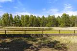 3449 Bear Mountain Drive Drive - Photo 40