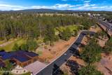 3449 Bear Mountain Drive Drive - Photo 63