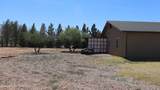 556 Camino De Tundra - Photo 11