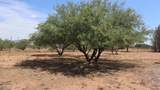556 Camino De Tundra - Photo 19