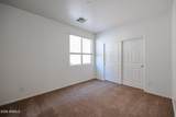 43856 Knauss Drive - Photo 13