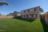 43856 Knauss Drive - Photo 26