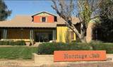 14341 Dahlia Drive - Photo 46