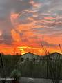 33614 25TH Drive - Photo 49