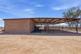 1793 Bianco Road - Photo 87