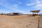 1793 Bianco Road - Photo 89