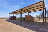 1793 Bianco Road - Photo 90