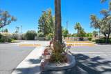 10101 Arabian Trail - Photo 22