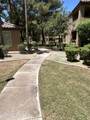 10101 Arabian Trail - Photo 27