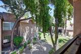 10101 Arabian Trail - Photo 9
