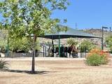 3419 Via Montoya Drive - Photo 36