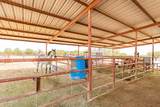40624 Selma Highway - Photo 103