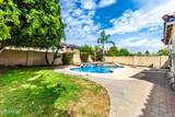 3216 Molly Lane - Photo 53