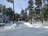 2101 Trillium Lane - Photo 47