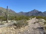 10931 Bahia Drive - Photo 46