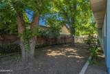 247 Mesquite Street - Photo 8